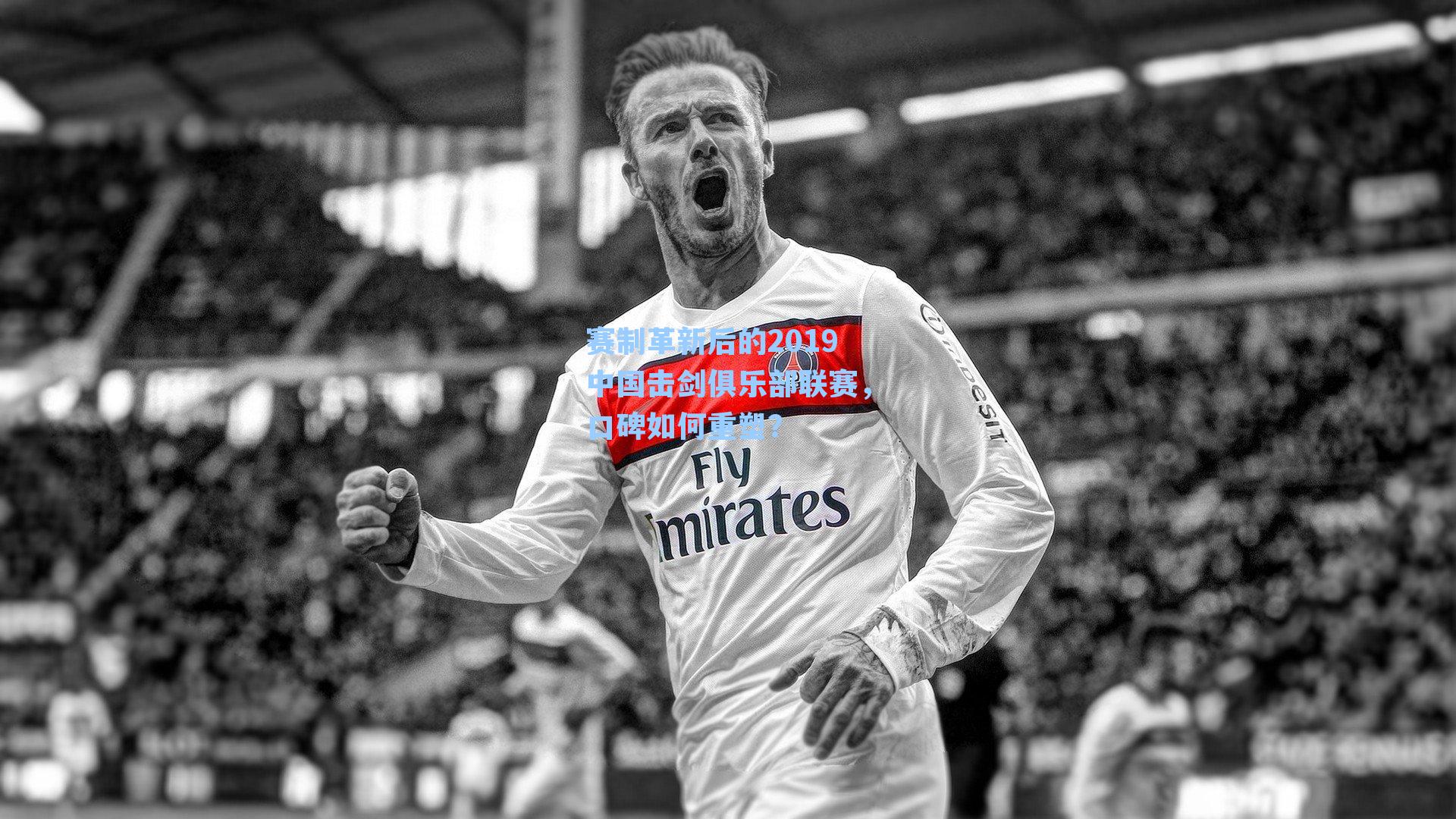 赛制革新后的2019中国击剑俱乐部联赛,口碑如何重塑?